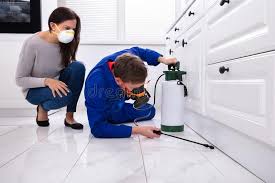 Best Emergency Pest Control  in Crete, IL